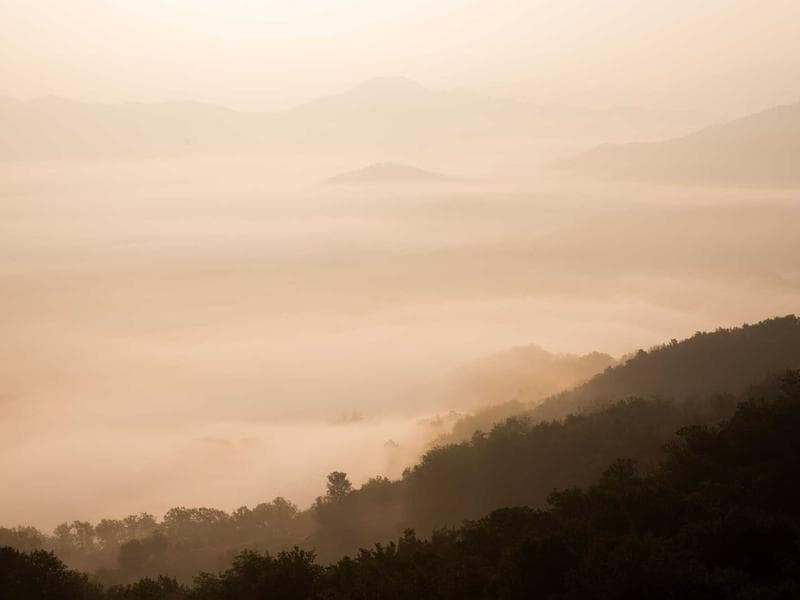 Slik kommer du i gang med AI-nettsidebygger