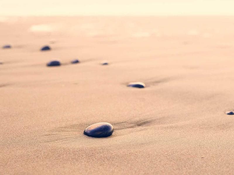 Sikkerhetstips for din nettside i 2026